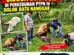 IMG-20261002-WA0024