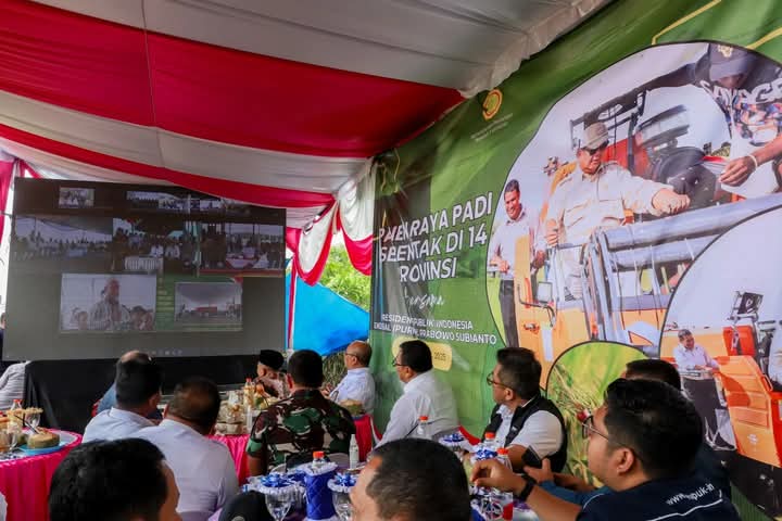 WhatsApp Image 2025-04-08 at 09.50.42